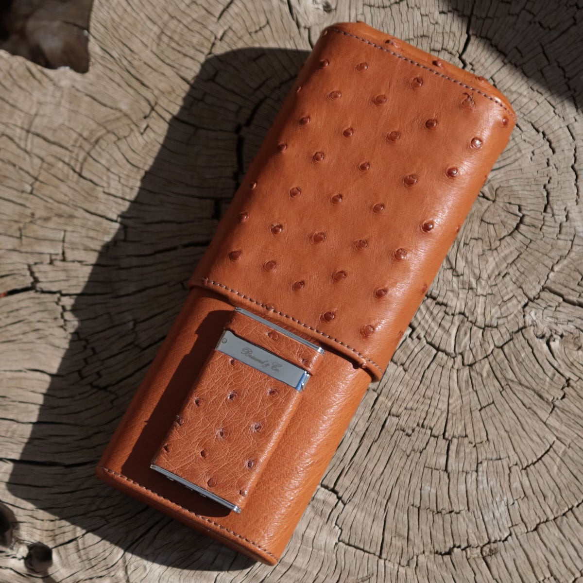 The "Show Band" 3 Cigar Case - Ostrich Cognac