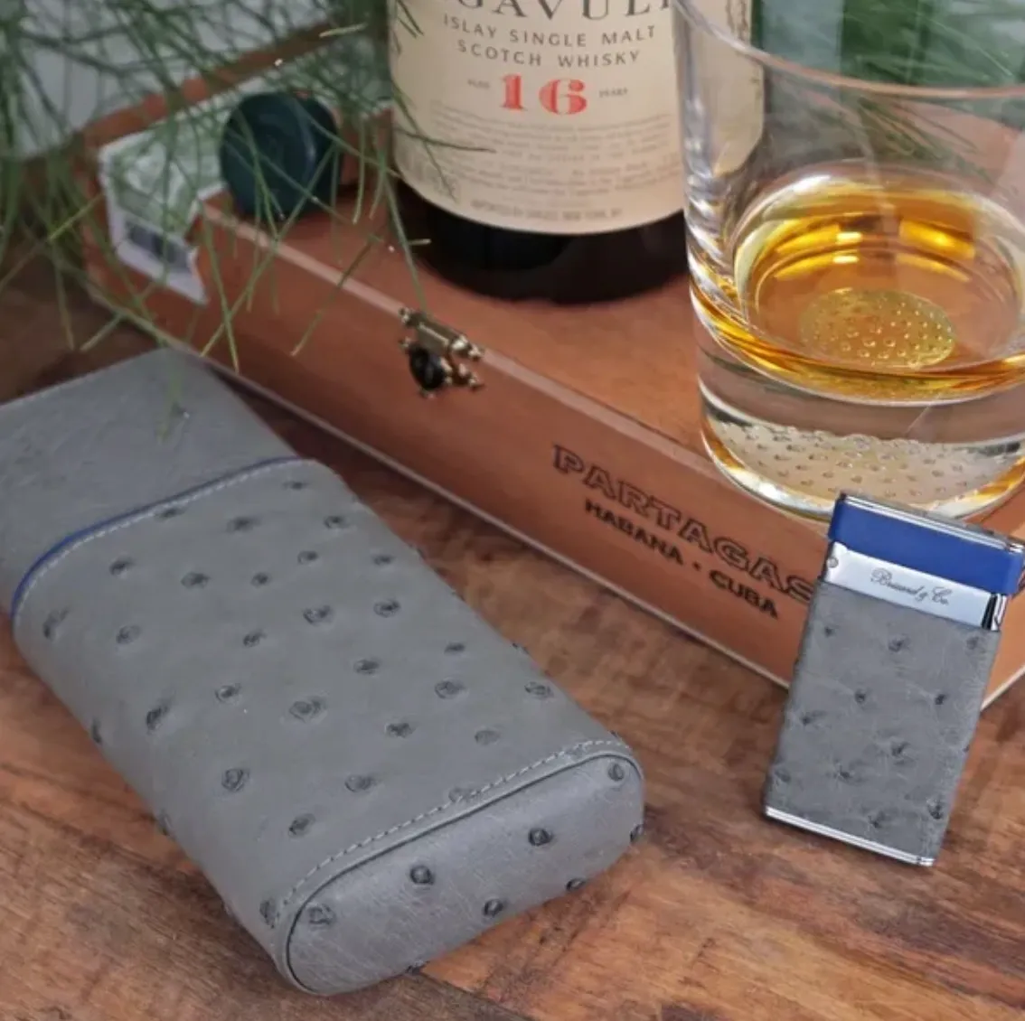 The "Show Band" 3 Cigar Case - Ostrich Gray and Blue