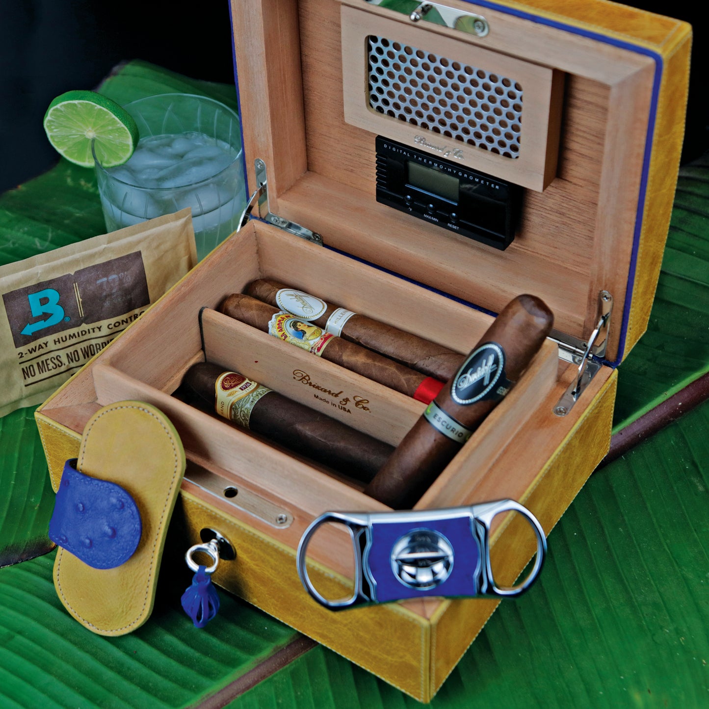 "La Casita de Puros" Humidor - Camel and Blue Color Leather (12/20 Count)